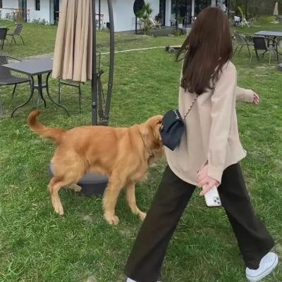 完美广播